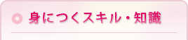 身につくスキル・知識