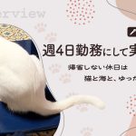 海の近くへ住まいを移し、大好きな旅行関係の仕事をしながら隔週で介護へ