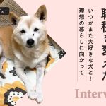 転職が「自分の夢」につながる資格取得を目指すきっかけに