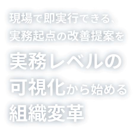 現場で即実行できる、実務起点の改善提案を 実務レベルの可視化から始める組織変革
