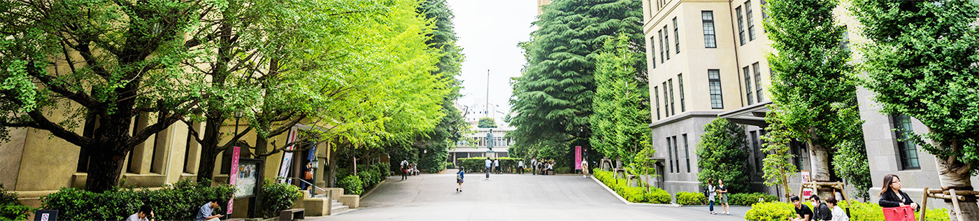 早稲田大学